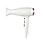 AC motor hair dryer